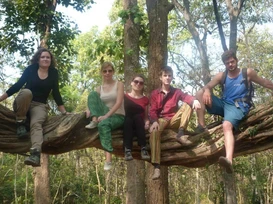 Four people sitting on a large tree branch in a forest.
