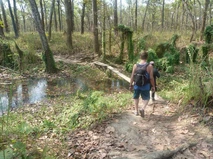 Person hiking on a forest trail near a small stream.